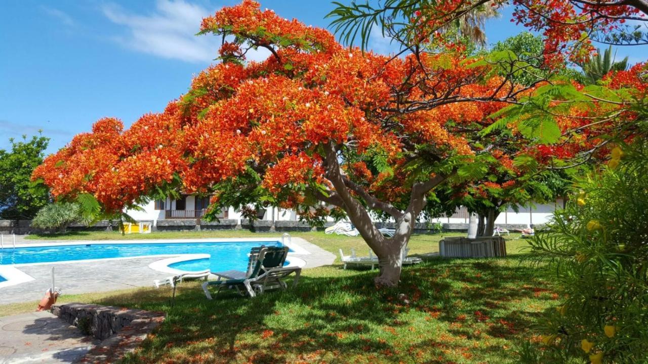 Apartamento cerca de la playa Apartamento Acantilado de los Gigantes Exterior foto